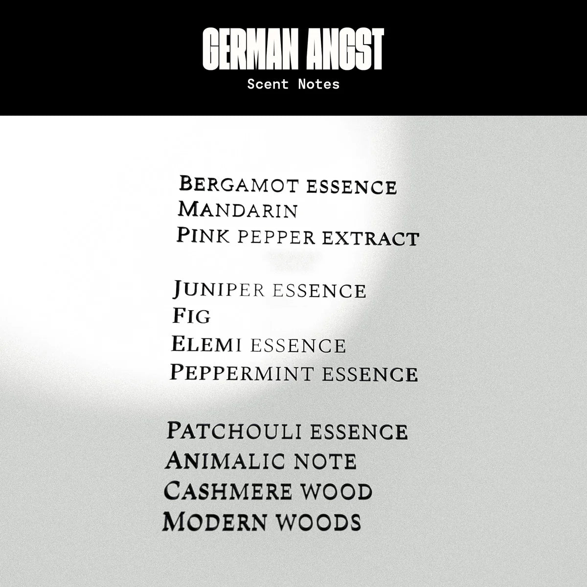 Art Brüt - German Angst