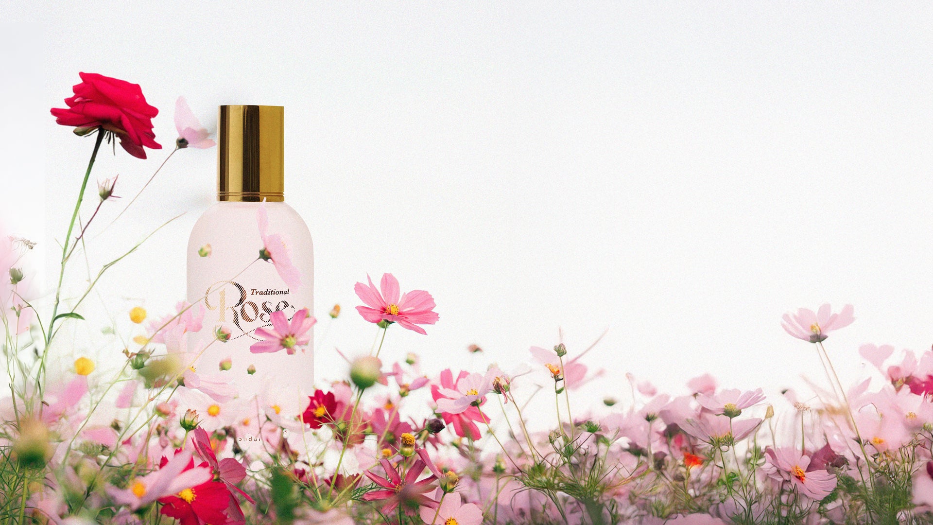 CZECH & SPEAKE - ROSE Eau de Parfum