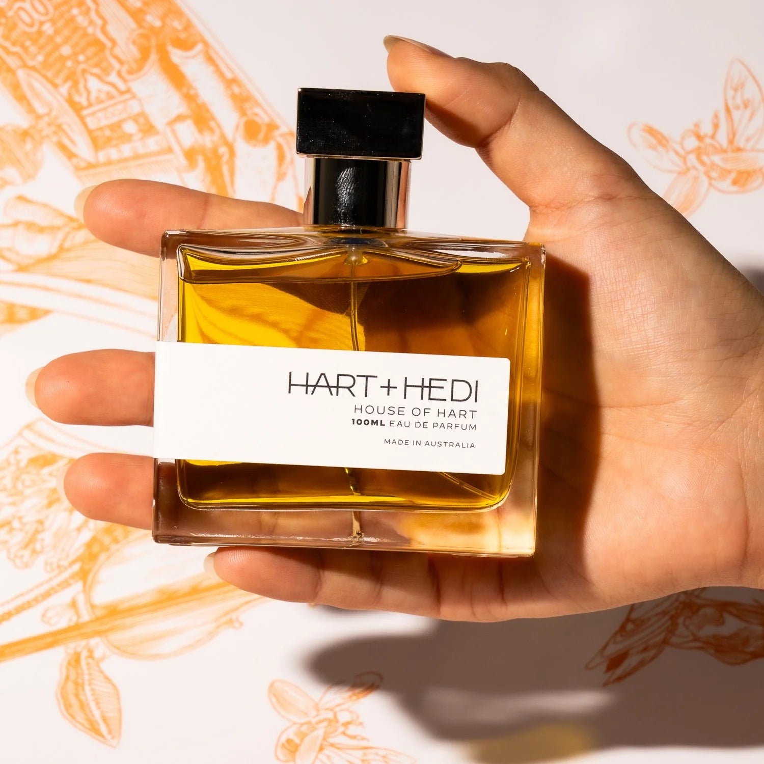 HART + HEDI - HOUSE OF HART