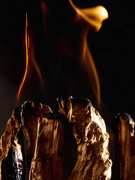Maison Crivelli - Extrait de Parfum - Oud Stallion