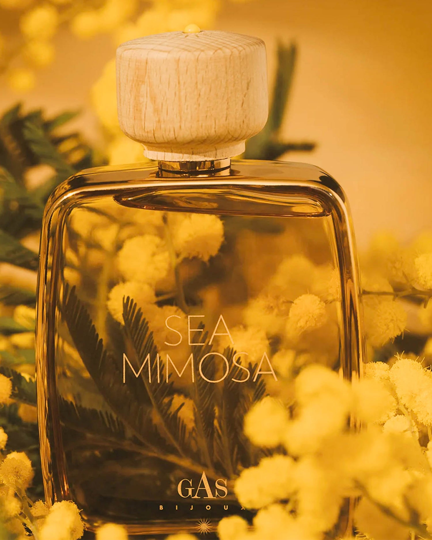 Gas Bijoux - Sea Mimosa 